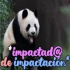 Dilo con Panditas🐼֍1🇲🇽Clásica 22