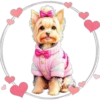 Perritos Tiernos ✺4🇻🇪 24