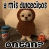 🧿Memes pop 2😎👌🏻 20