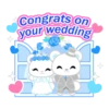 Happy Wedding 1 💖 MOV 12