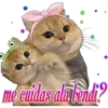 😽Michitos Randoms 😺 22