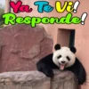 Dilo con Panditas🐼֍1🇲🇽Clásica 23