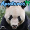 Dilo con Panditas🐼֍1🇲🇽Clásica 24