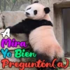 Dilo con Panditas🐼֍1🇲🇽Clásica 25