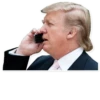 Donald Trump 19
