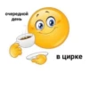 очередной День в цирке
