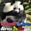 Dilo con Panditas🐼֍1🇲🇽Clásica 27