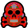 Día de los Muertos☠️🏵❥☯︎ͫ1🇲🇽Clásica 27