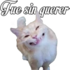 😽Michitos Randoms 😺 24