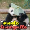Dilo con Panditas🐼֍1🇲🇽Clásica 28