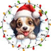 Variaditos Navideños ✺18🇻🇪 23