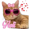 😽Michitos Randoms 😺 25