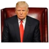 Donald Trump 20
