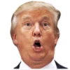 Donald Trump 21