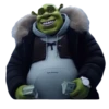 Shrekulina 24