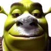 Shrekulina 25