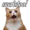 😽Michitos Randoms 😺 26