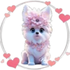 Perritos Tiernos ✺4🇻🇪 29