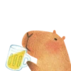 Mr. Capybara 29