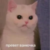 Превет ванючка