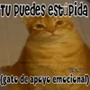 🧿Memes pop 2😎👌🏻 29