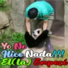 Dilo con Panditas🐼֍1🇲🇽Clásica 30