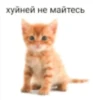 хуйней не майтесь