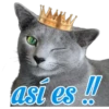 😽Michitos Randoms 😺 30