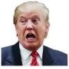 Donald Trump 27