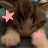 Больше стикеров → 6