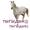 Chatroom 6