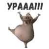 Gloria 8