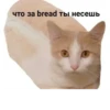 Больше стикеров → 7