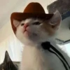Больше стикеров → 8