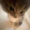 Больше стикеров → 9