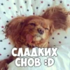 SXzNiIn_by_achestickbot 10