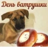 SXzNiIn_by_achestickbot 11