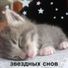 Больше стикеров → 13