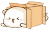 Anime Cat 11