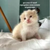 Больше стикеров → 15
