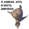 Gloria 11