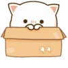 Anime Cat 16