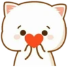 Anime Cat 17