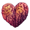 The Heart 12