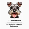 Para Ray ♥🌹 14