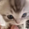 Больше стикеров → 17