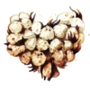 The Heart 14