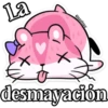 Lovely HAMSTER 13