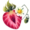 The Heart 16