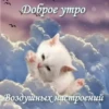 Больше стикеров → 19